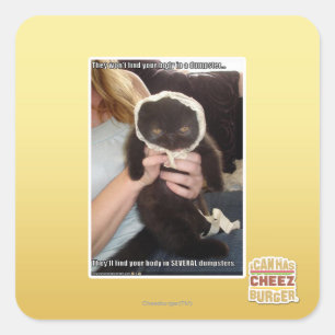 Adesivo Quadrado Em diversos contentores