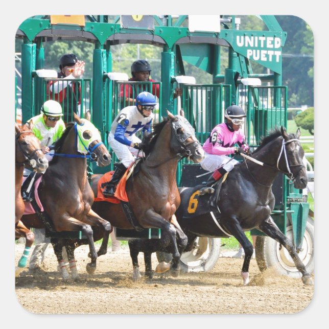 Adesivo Quadrado Em Saratoga (Frente)