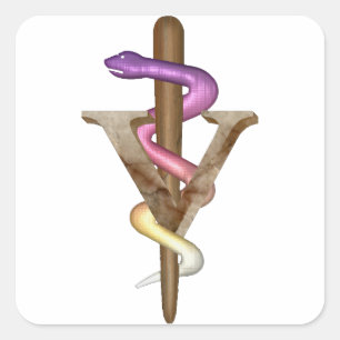 Adesivo Quadrado Emblem Veterinária