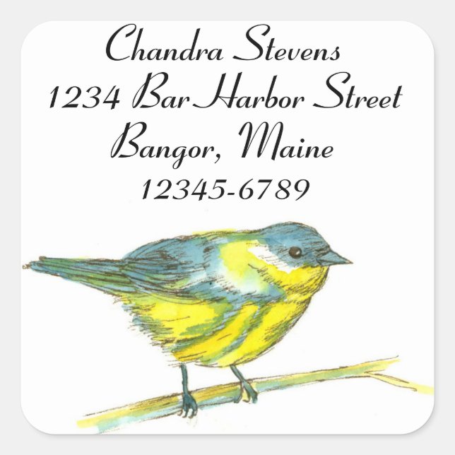Adesivo Quadrado Endereço de Devolução de Aquarela do Warbler (Frente)