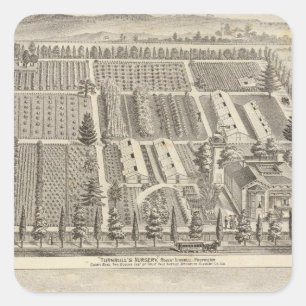 Adesivo Quadrado Enfermeiro de Turnbull, Fitch res