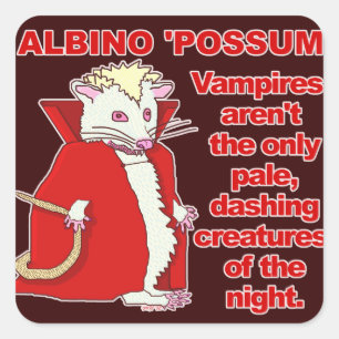 Adesivo Quadrado Engraçado Albino Possum Vampire Animal