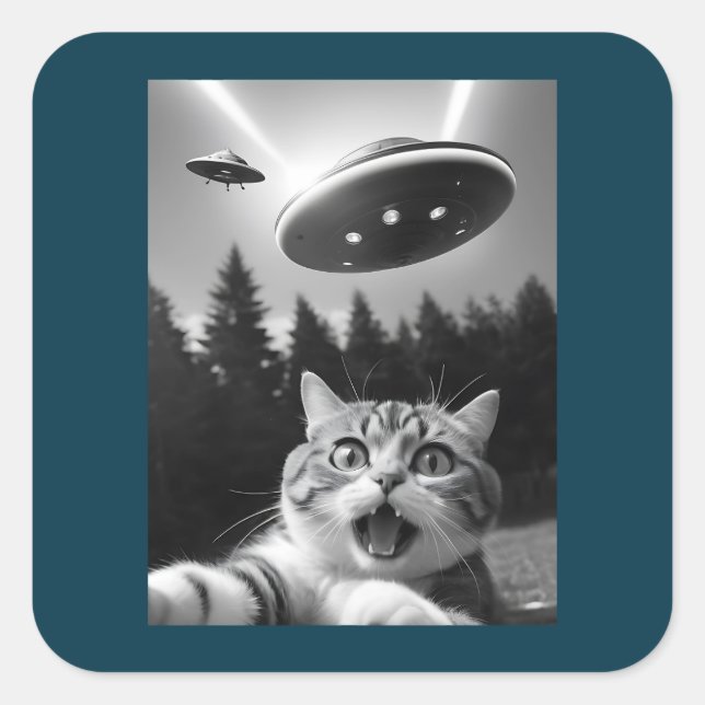 Adesivo Quadrado Engraçado Cat Selfie com Alienígena de OVNI (Frente)
