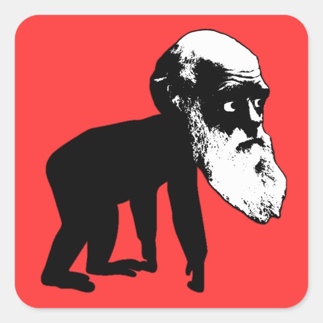 Adesivo Quadrado Engraçado evolução Darwin (Frente)
