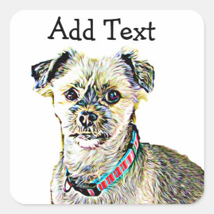 Adesivo Quadrado Engraçado Lhaso Apso ou Shitzu Dog Sticker Persona