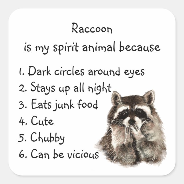 Adesivo Quadrado Engraçado Raccoon Spirit Humor (Frente)