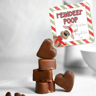 Adesivo Quadrado Engraçado Reindeer Poop Natal Favor Holiday Bag