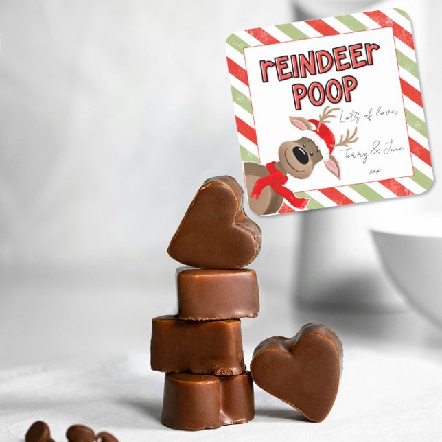 Adesivo Quadrado Engraçado Reindeer Poop Natal Favor Holiday Bag (Criador carregado)