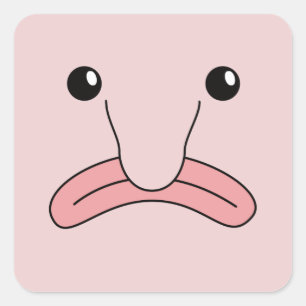 Adesivo Quadrado Engraçados Engraçados Animais Engraçados