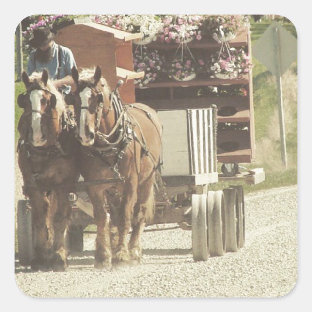 Adesivo Quadrado Entrega de Flor Amish (Frente)