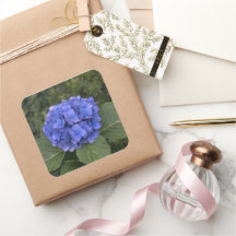 Envelope Casado Stickers Blue Hydrangea Flower