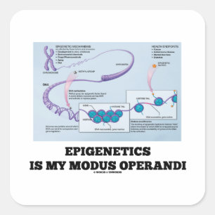 Adesivo Quadrado Epigenetics é meu modus operandi (os mecanismos)