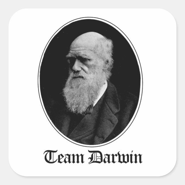 Adesivo Quadrado Equipe Darwin (Frente)
