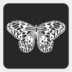 Adesivo Quadrado Esboço, branco e preto da borboleta