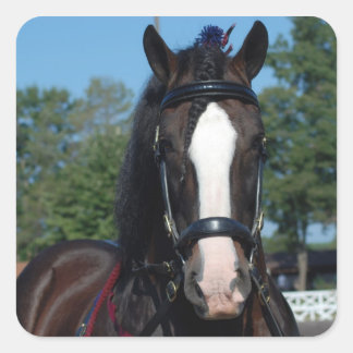 Adesivo Quadrado esboço de cavalo do culpeão