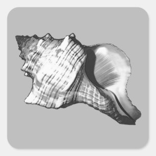 Adesivo Quadrado Esboço do escudo do Conch - máscaras de cinzento