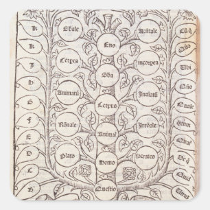 Adesivo Quadrado Escada celestial