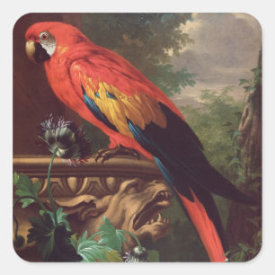 Adesivo Quadrado Escarlate do Macaw em uma paisagem (óleo em