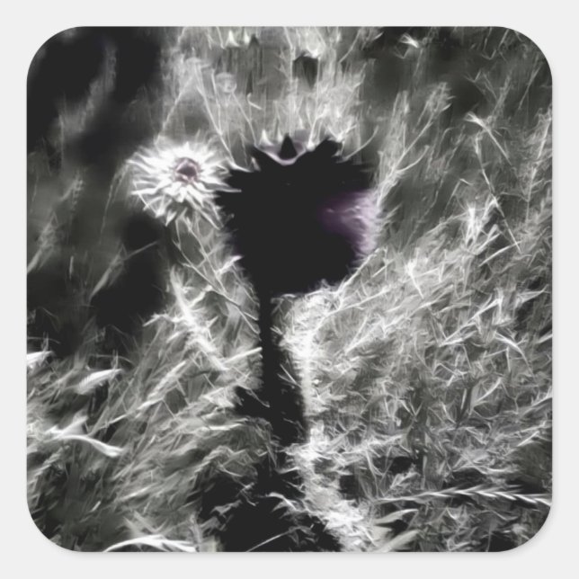 Adesivo Quadrado Escolha-me (Frente)