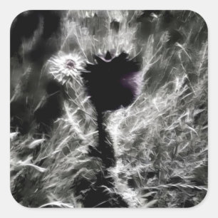 Adesivo Quadrado Escolha-me