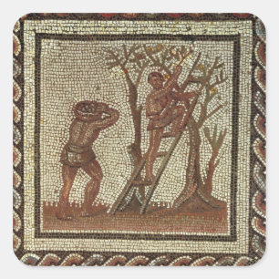 Adesivo Quadrado Escolhendo a fruta, mosaico romano