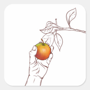 Adesivo Quadrado Escolhendo uma maçã