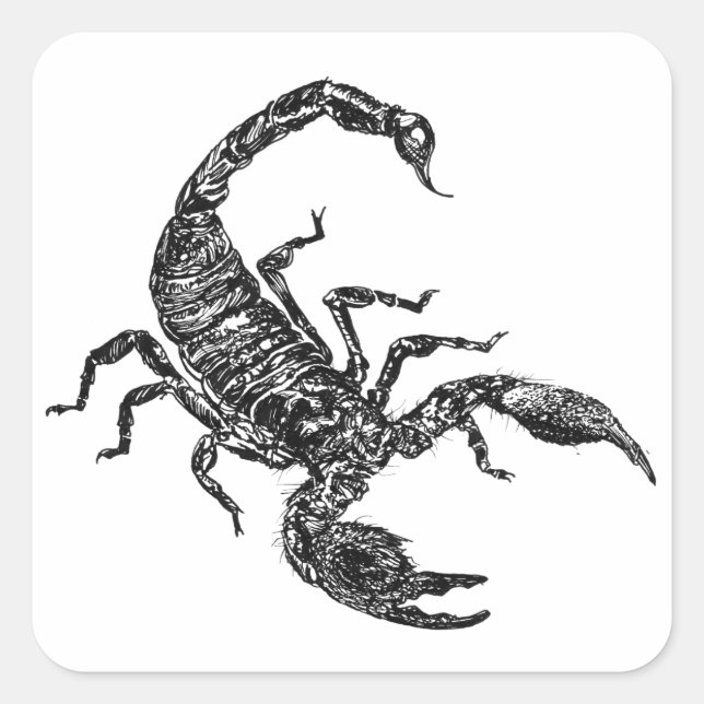 Adesivo Quadrado Escorpião (Frente)
