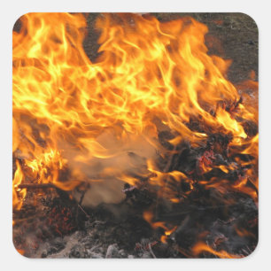 Adesivo Quadrado Escova ardente