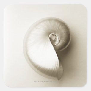 Adesivo Quadrado Escudo Pearlised 2 do mar do nautilus