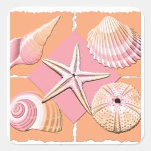 Adesivo Quadrado Escudos cor-de-rosa & alaranjados do mar