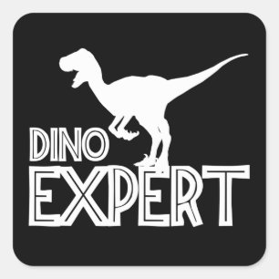 Adesivo Quadrado Especialista em Dino - Amantes do Dinossauro