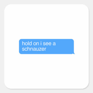 Adesivo Quadrado Espere, Vejo Um Schnauzer