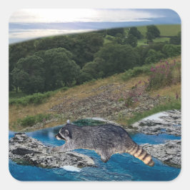 Adesivo Quadrado Espetáculo quadrado de guaxinim curioso e intelige