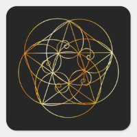 Espiral Fibonacci - A geometria sagrada