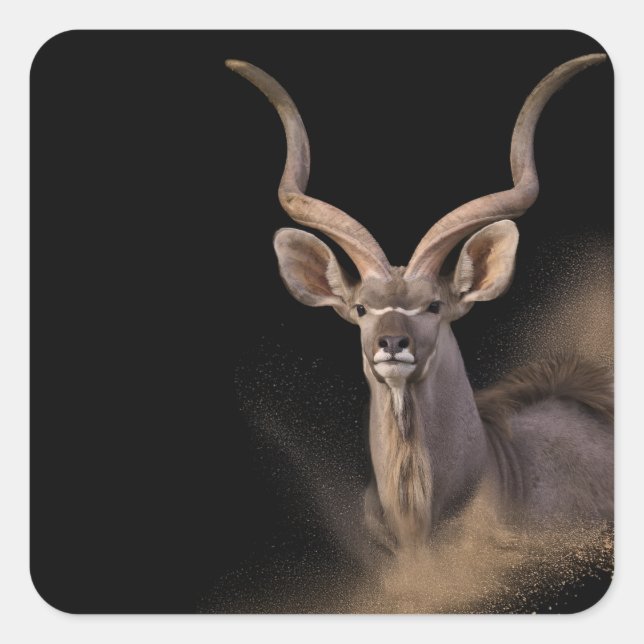 Adesivo Quadrado Espírito de Kudu (Frente)