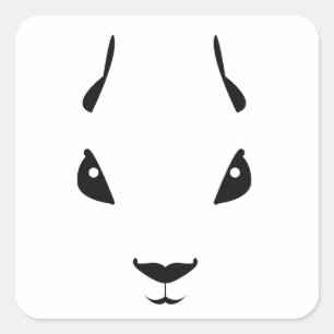 Adesivo Quadrado esquilo