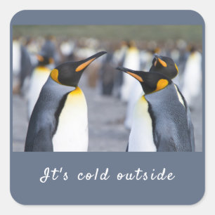 Adesivo Quadrado Está frio fora da foto do Rei Pinguin com texto