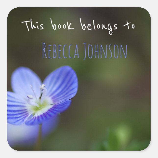 Adesivo Quadrado Este livro pertence a (Frente)