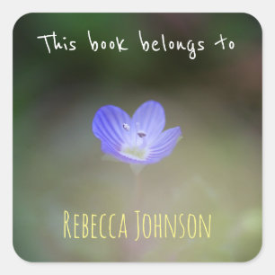 Adesivo Quadrado Este livro pertence a