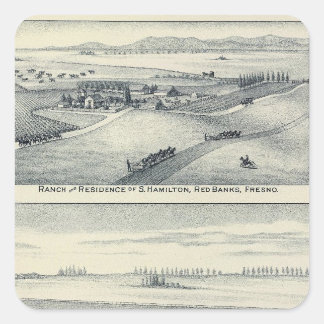 Adesivo Quadrado Estella Blanca Vineyard, Califórnia (Frente)