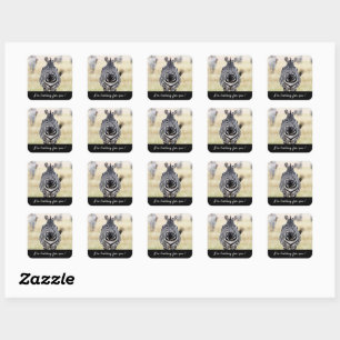 Adesivo Quadrado Estou à tua procura, Zebra, com uma mensagem.