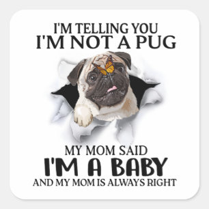 Adesivo Quadrado Estou te dizendo que não sou um Pug. Sou um Bebê P