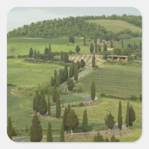 Adesivo Quadrado Estrada de Pienza a Montepulciano,
