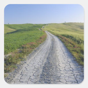 Adesivo Quadrado Estrada de terra através dos campos e das colinas