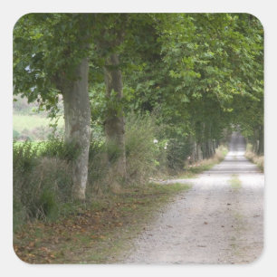 Adesivo Quadrado Estrada rural de terra perto da cidade de