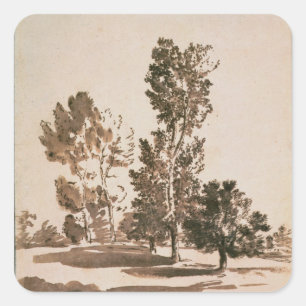 Adesivo Quadrado Estudo da árvore (caneta & tinta no papel)