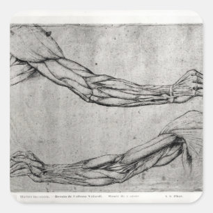 Adesivo Quadrado Estudo de Armas