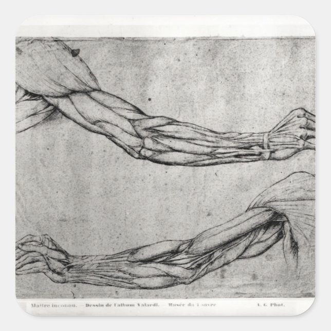 Adesivo Quadrado Estudo de Armas (Frente)