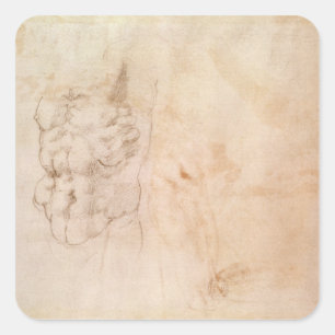 Adesivo Quadrado Estudo do Torso