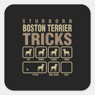 Adesivo Quadrado Estúpido Boston Terrier engana Cachorro sobre T-S
